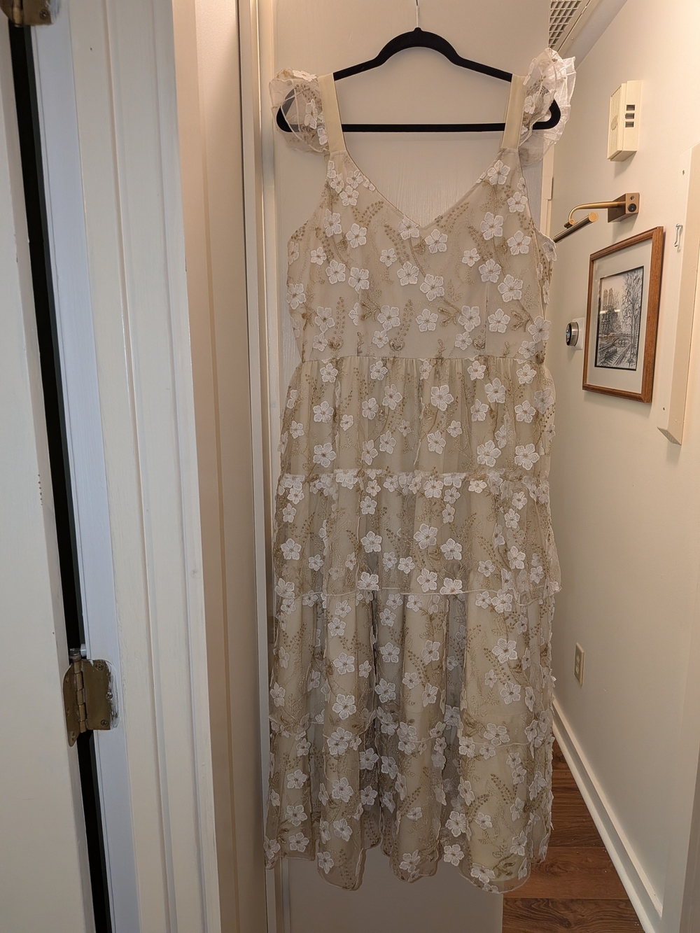 ARULA Beige Maxi Dress with White Floral Lace Embroidery Overlay Size X (XL/0X)